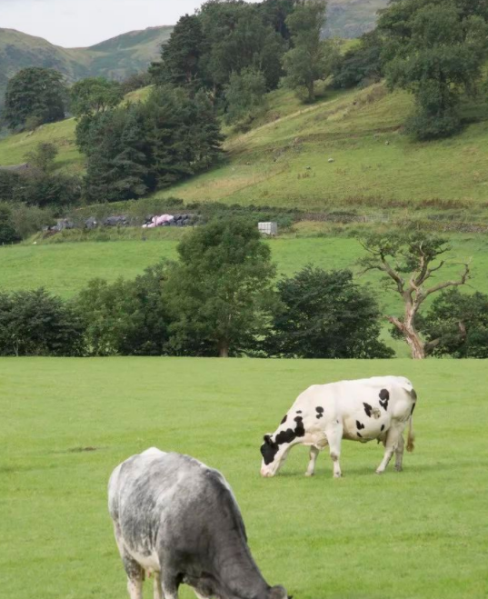 微信截图_20230222120233.png 微信截图_20230222120233.png